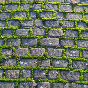 Green Brick Wallpaper Designs